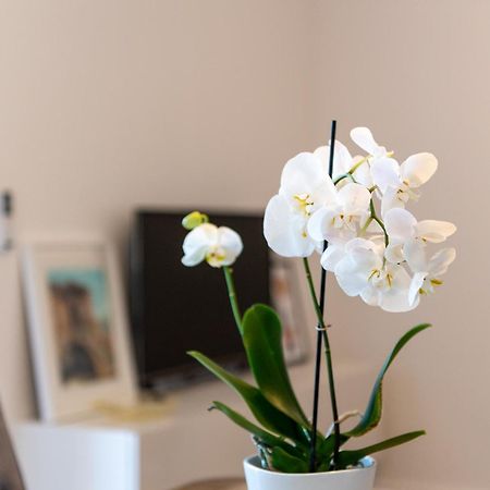 Apartment Ivi Трогір Екстер'єр фото